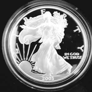 .999 Fine Silver (1 troy oz)